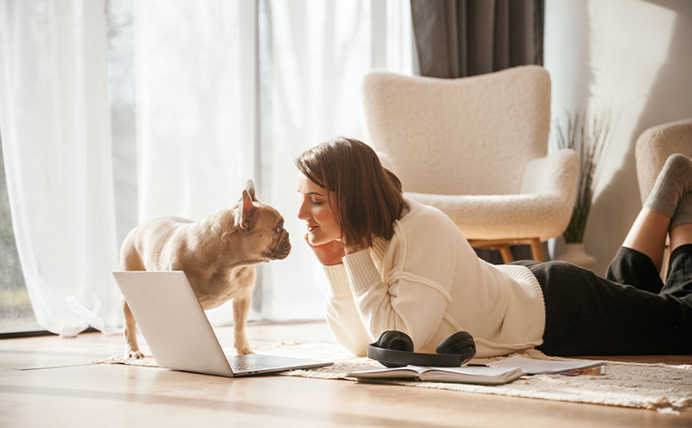 dog and owner on wood floor in living room stock image